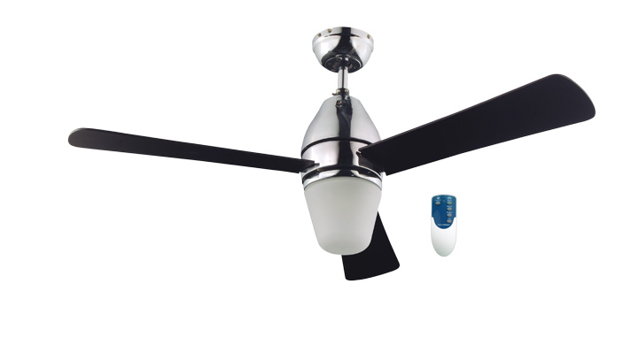 Ewel Earn Well Technology, Ceiling Fan With Light And Remote B Q